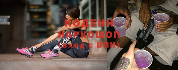 стафф Бородино
