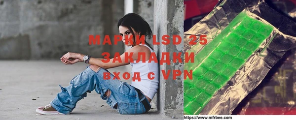 стафф Бородино