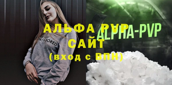 стафф Бородино