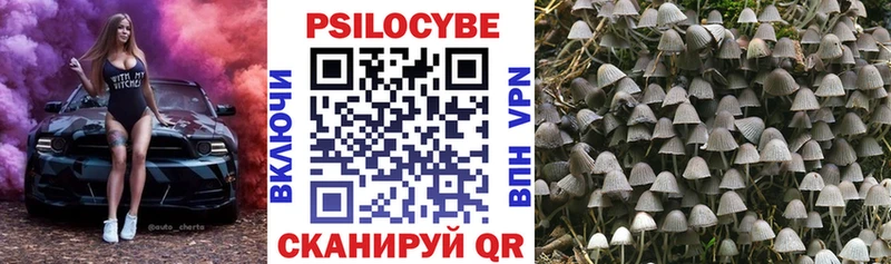 блэк спрут tor  где найти   Сортавала  Псилоцибиновые грибы Psilocybine cubensis 